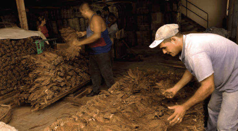 CURADO Y FERMENTACIÓN, COCINANDO A FUEGO LENTO